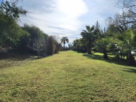 Benavidez Lot for Sale