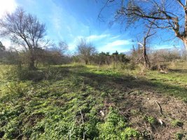 Benavidez Lot for Sale