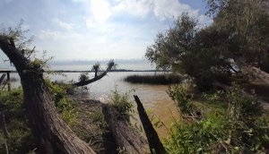 Venta Departamento 2 Ambientes En Nordelta Al Rio