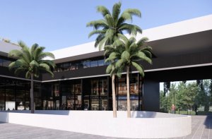 Local Comercial En Venta En Villanueva