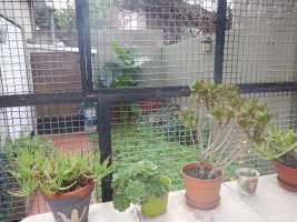 Apartment 2 rooms for sale, Florida, V, Lopez