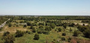 Barrio San Pedro Venta lotes financ. Benavidez