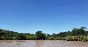 Sale Lot 65 and 66, Canal Urion, 1st Section Delta