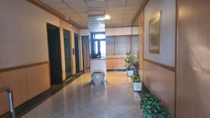 Alquiler departamento de tres ambientes en Olivos