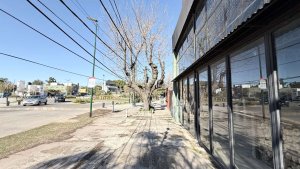 Vta. Lote c/potencial, excelente zona San Isidro