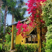 Island House - 6 Rooms - Pier - 2nd Sec - Paraná De Las Palmas