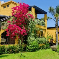 Island House - 6 Rooms - Pier - 2nd Sec - Paraná De Las Palmas