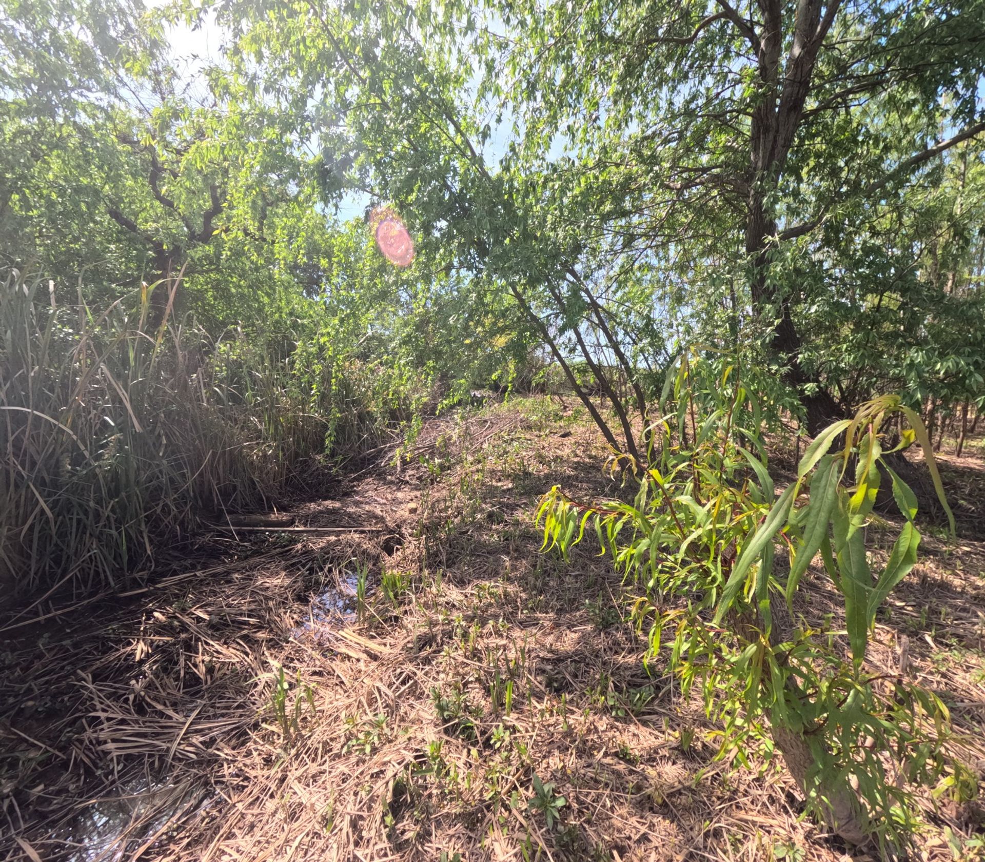 Dos lotes en venta en Arroyo Urión con Escritura