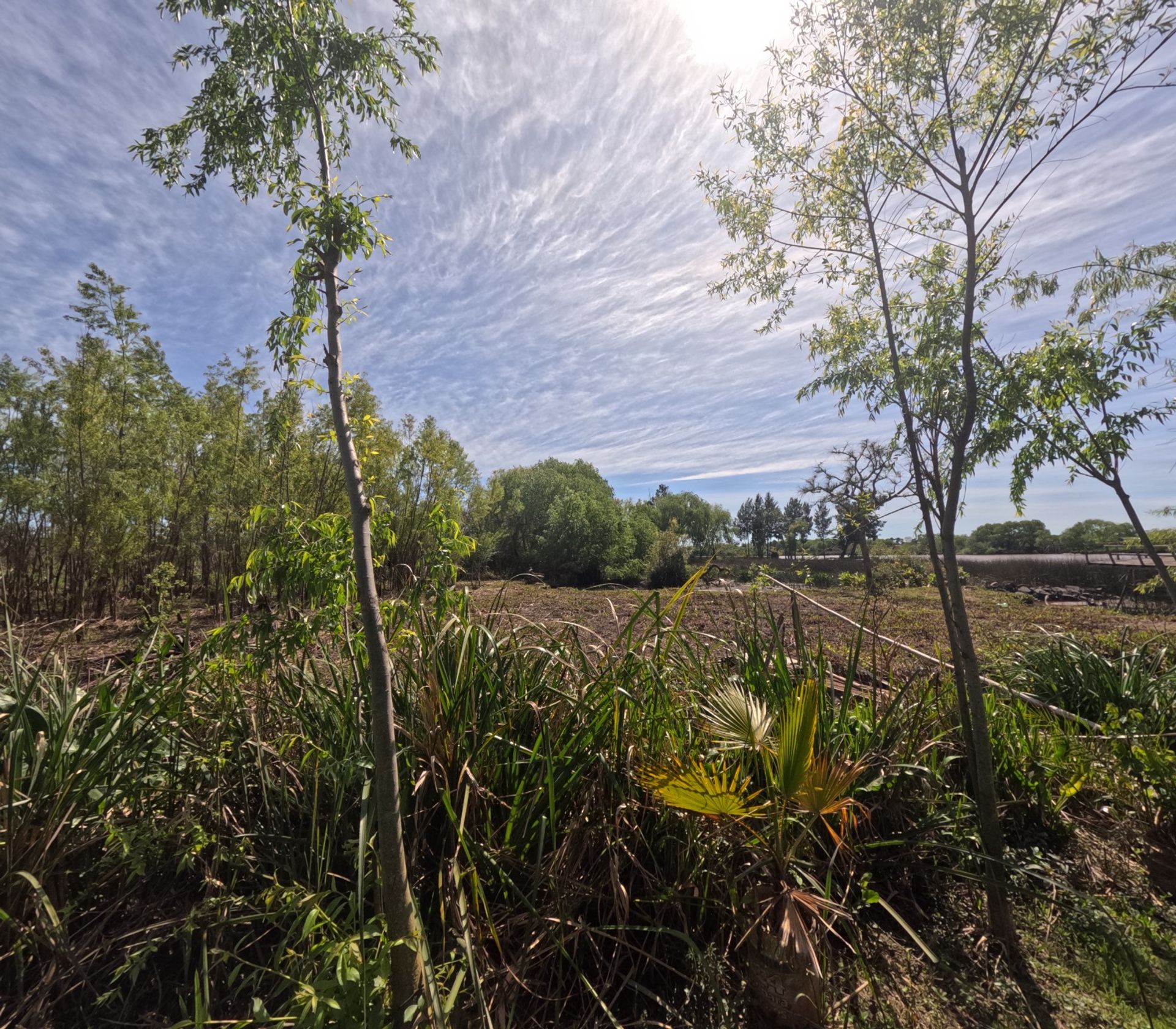 Dos lotes en venta en Arroyo Urión con Escritura