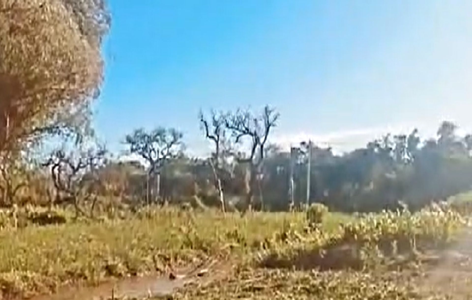 Dos lotes en venta en Arroyo Urión con Escritura