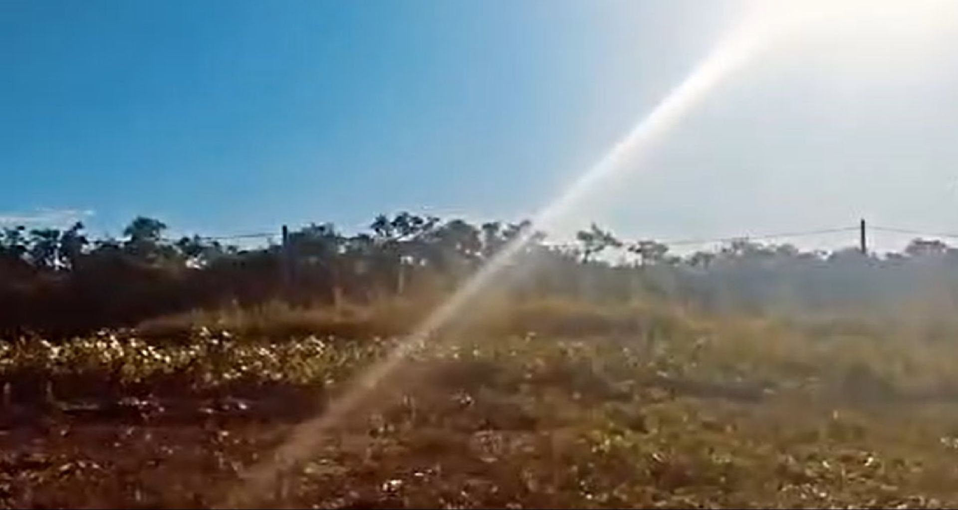 Dos lotes en venta en Arroyo Urión con Escritura