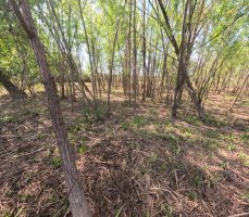 Two lots for sale in Arroyo Urión with deed