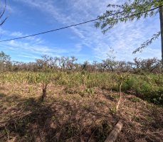 Two lots for sale in Arroyo Urión with deed