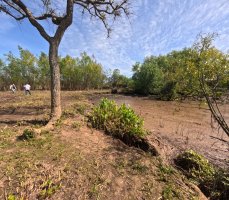 Two lots for sale in Arroyo Urión with deed