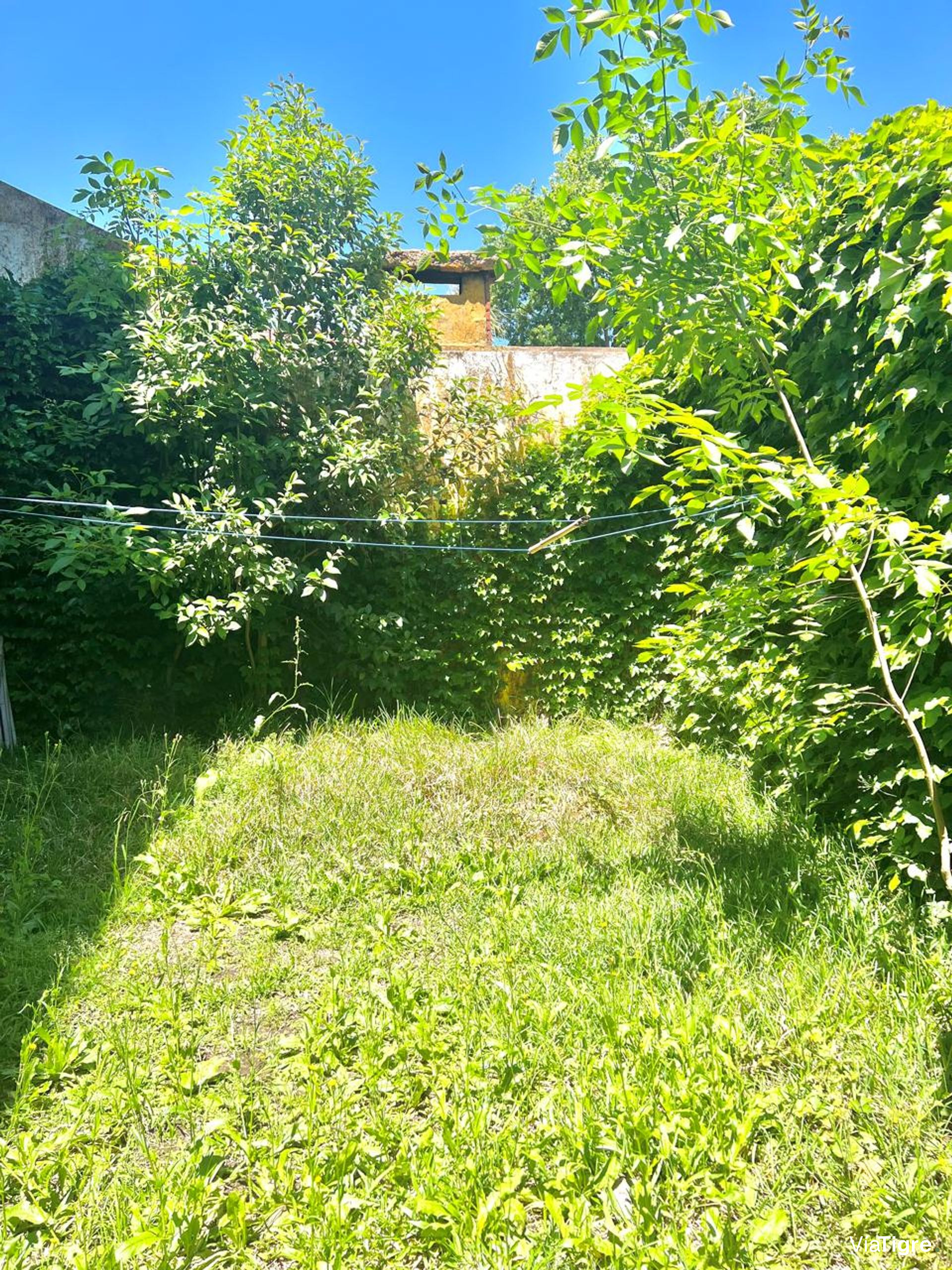 Casa En Venta Olivos 6 Ambientes Con Jardin