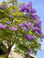 Excelente Lote, Barrio Castaños Nordelta