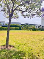 Excelente Lote, Barrio Castaños Nordelta