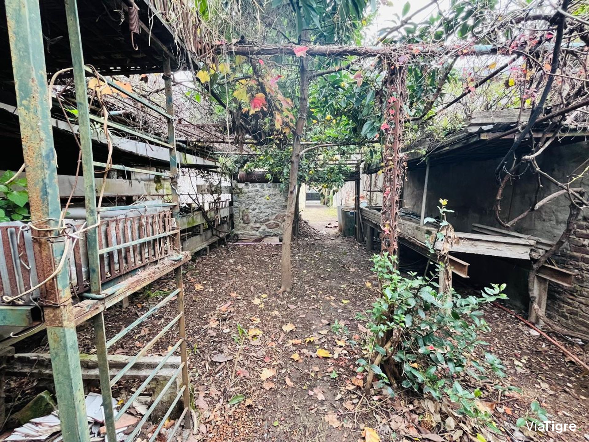 Venta Casa Multifamiliar Lote Propio Beccar