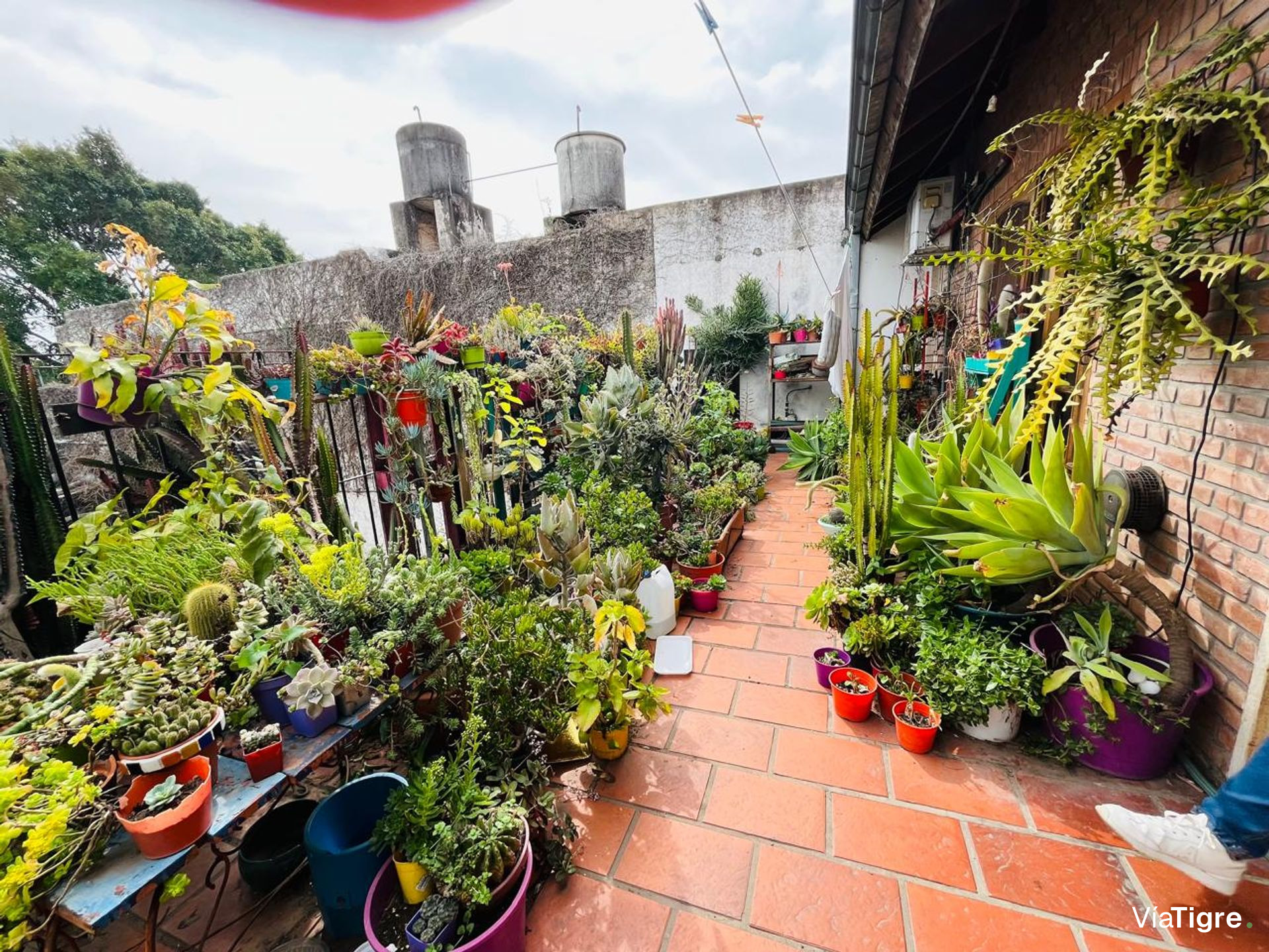 Venta Casa Multifamiliar Lote Propio Beccar