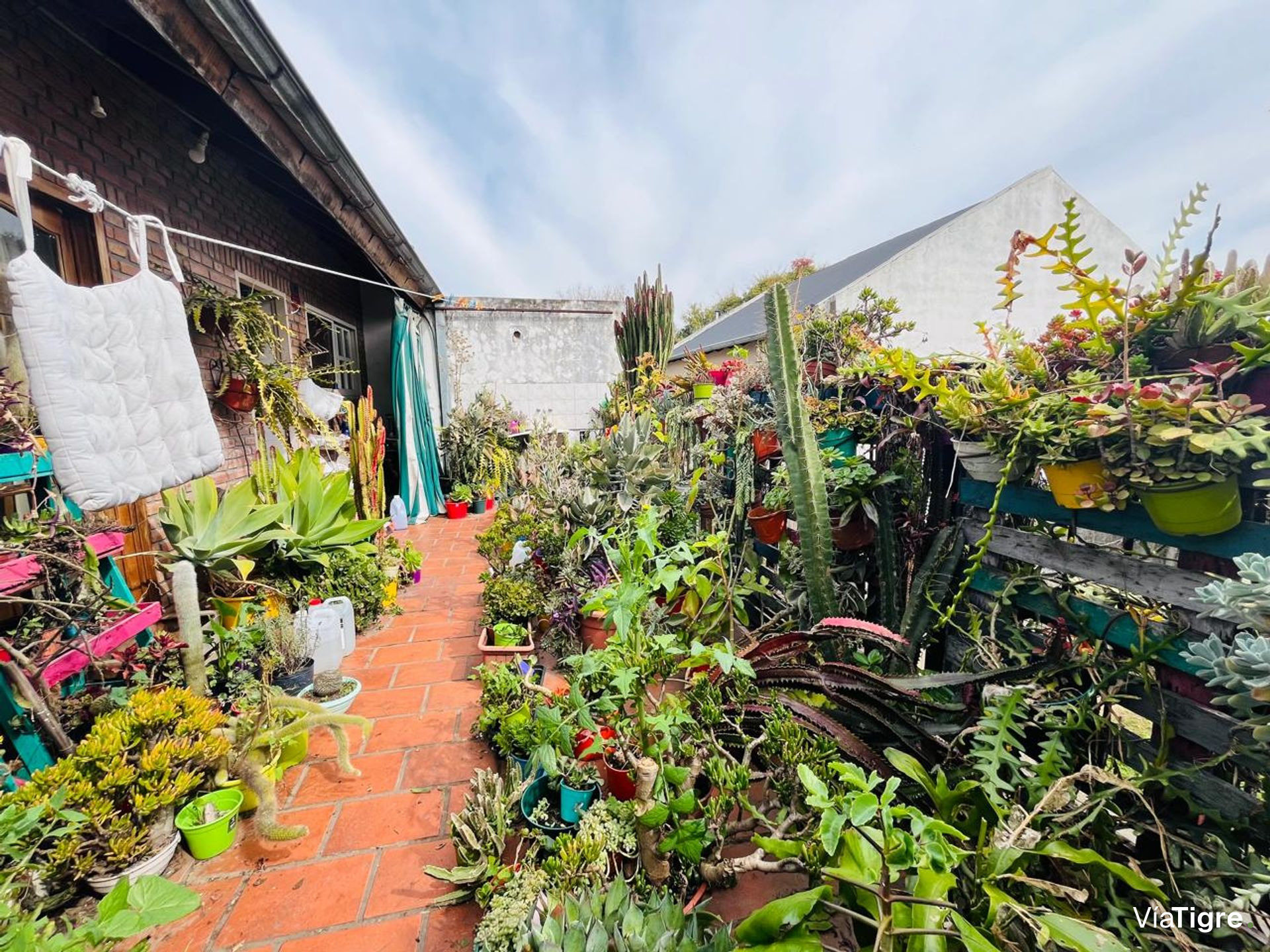 Venta Casa Multifamiliar Lote Propio Beccar