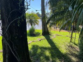 4-Room House for Sale Delta Tigre