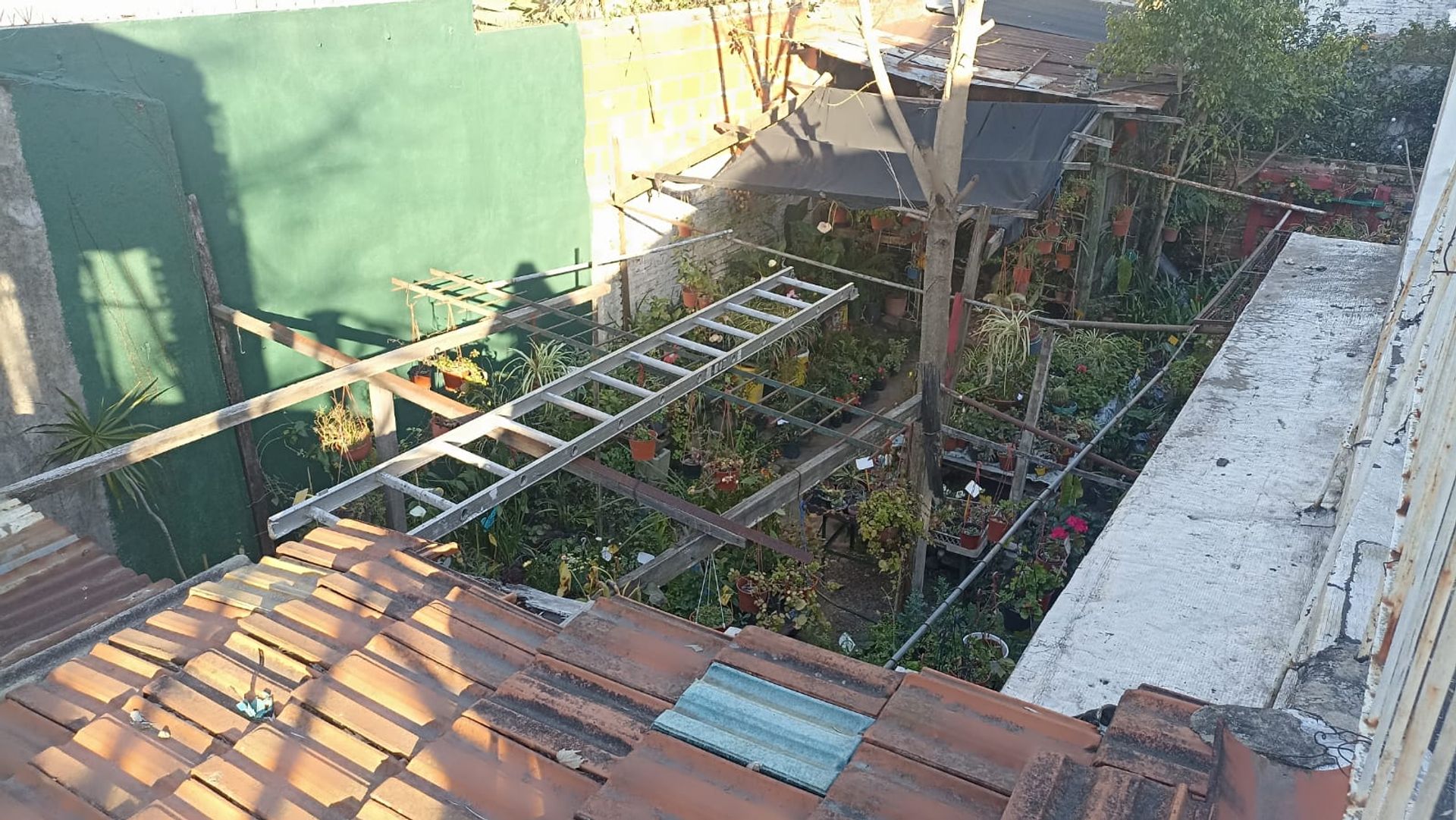 Casa 3 Ambientes - Venta En Olivos Con Gran Jardin