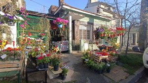 House 3 Rooms - Sale in Olivos with Large Garden