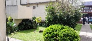 Alquiler Departamento 3amb en Olivos A.Belloq 3600