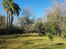 Tigre Residential Lot for Sale, Steps from the Waterfront