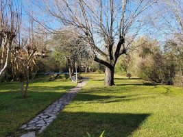 Tigre Residential Lot for Sale, Steps from the Waterfront