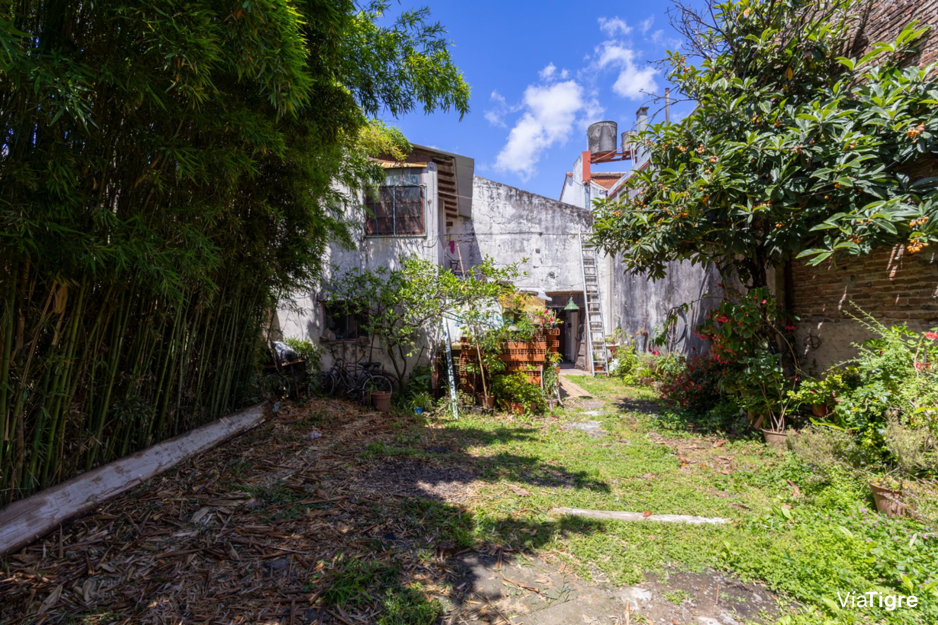 Venta Galpón en Tigre Centro