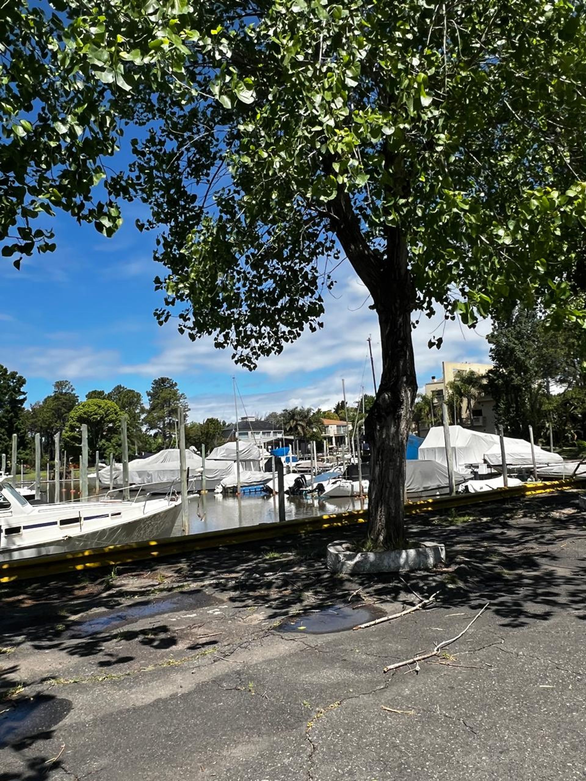 Venta Triplex 5 amb. en Barrio Náutico con amarra
