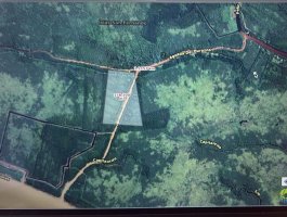 Lote en venta en el Delta del Paraná -San Fernando