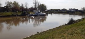 Sale of Lot Tigre Isla Del Este – Nautical Country