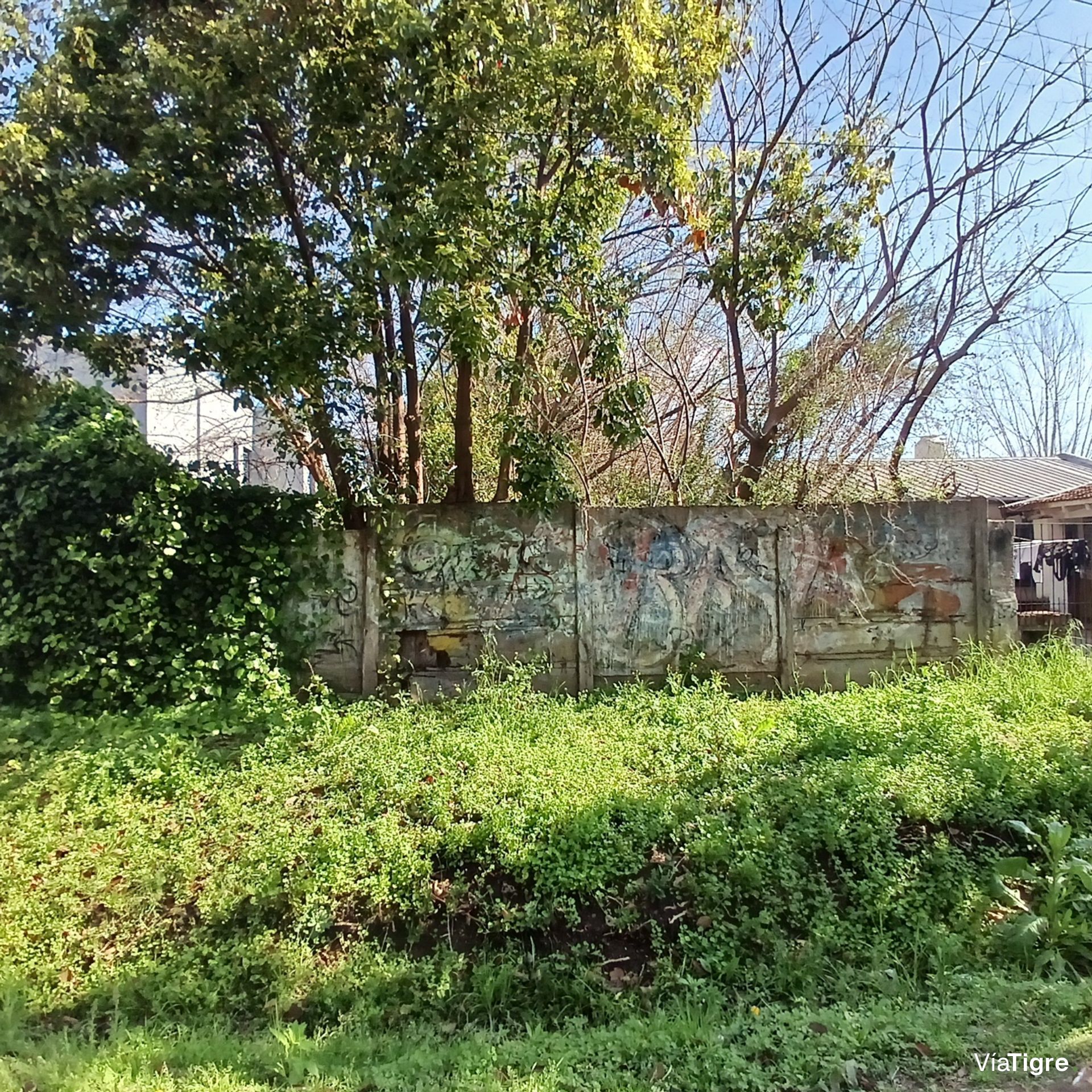 Venta Lote 10X65 Pacheco Tigre Ideal Inversor