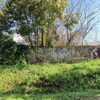 Sale Lot 10x65 Pacheco Tigre Ideal Investor