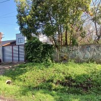 Sale Lot 10x65 Pacheco Tigre Ideal Investor