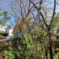 Sale Lot 10x65 Pacheco Tigre Ideal Investor