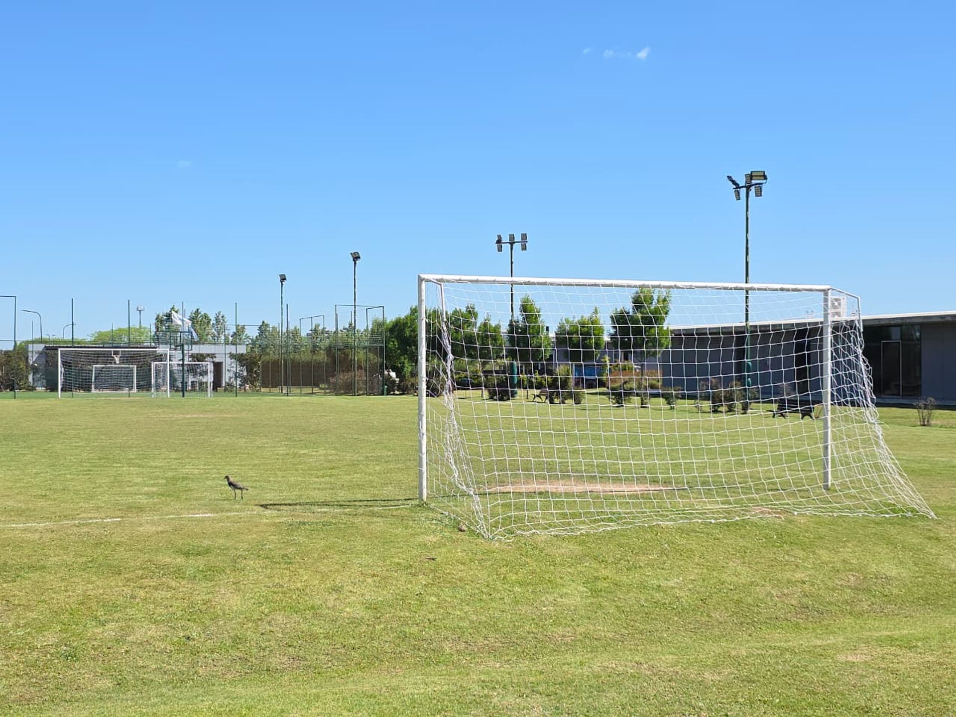 Venta Casa 7 Amb Virazon Nordelta A La Laguna