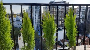 Short-term studio rental Olivos at meters from river