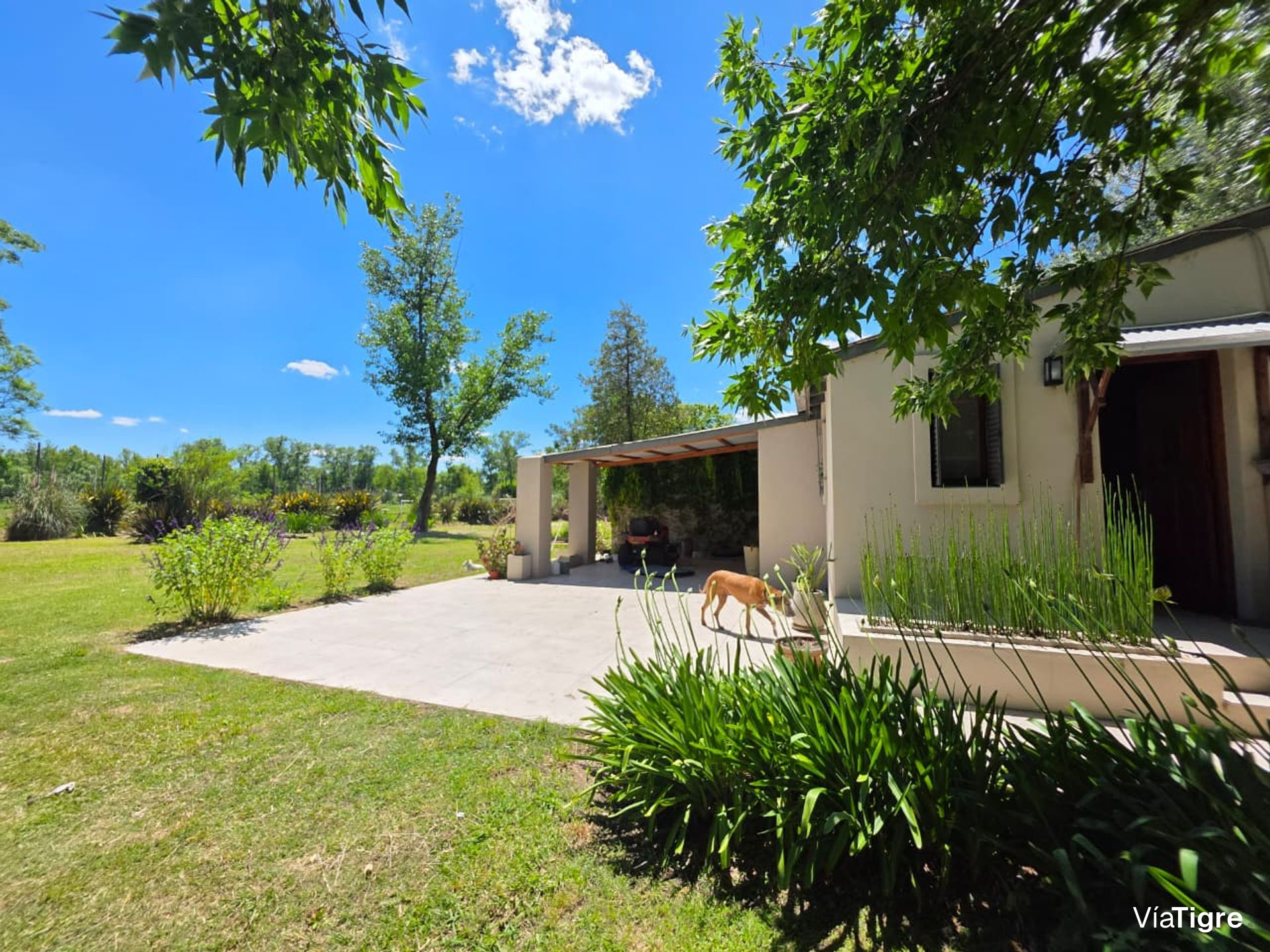 Alquiler Comercial Casa Gran Lote Zona Nordelta