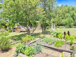 Commercial Rental – Large Lot House – Nordelta Zone