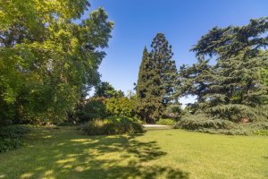 Excelente Casa En La Mejor Zona De La Horqueta