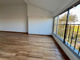 Remodeled studio in Olivos