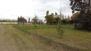 Lote 700m2 en venta Barrio El Alamo Benavidez