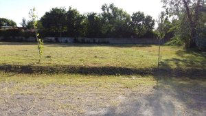 Lote 700m2 en venta Barrio El Alamo Benavidez
