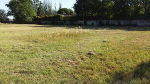 Lote 700m2 en venta Barrio El Alamo Benavidez