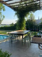 House Temporary Rental - January