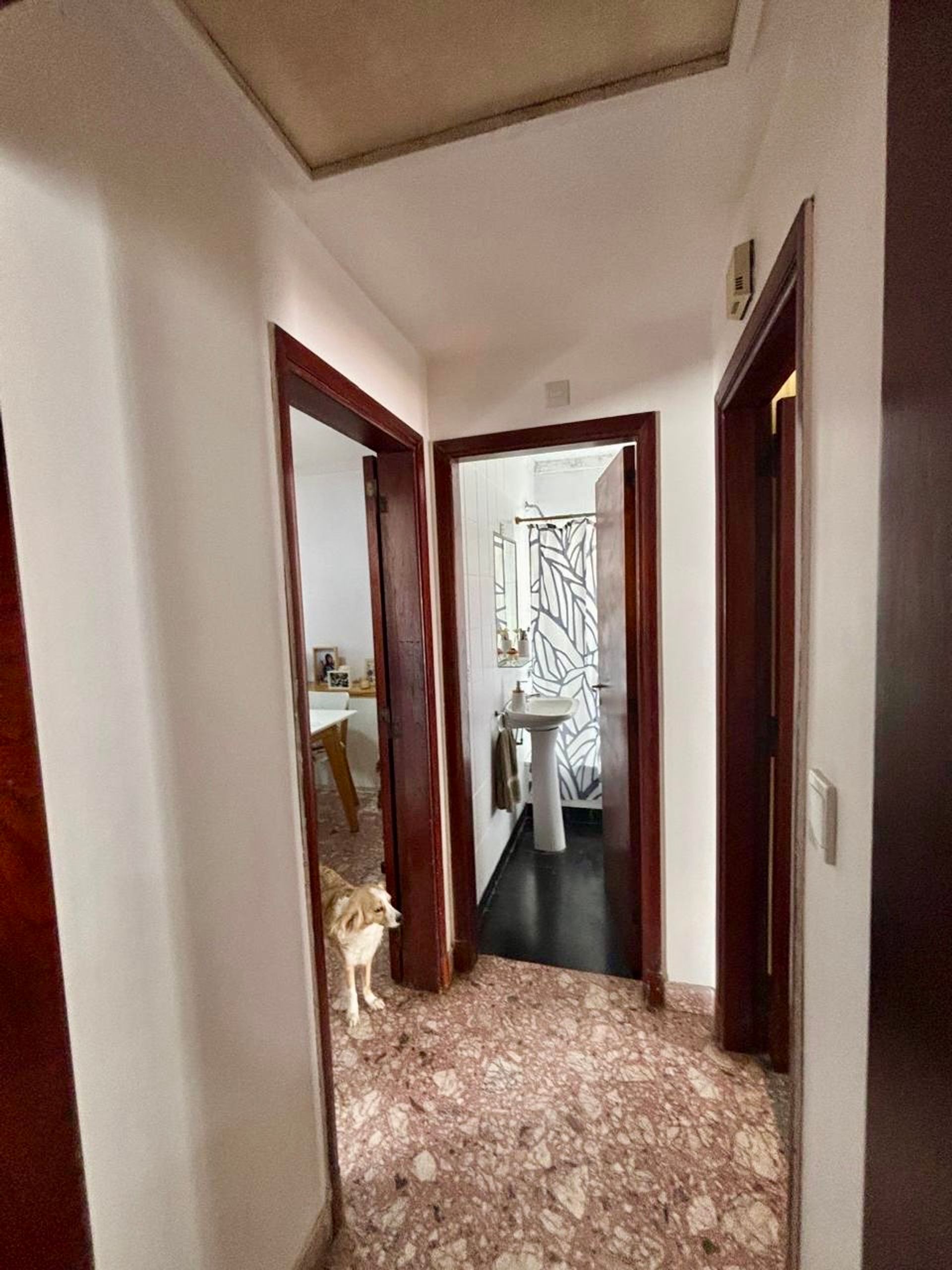 Casa 4 ambientes con otra casa anexa lote 240m2