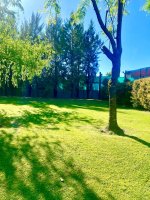 Land for sale Bocas de Santa Maria, Pacheco